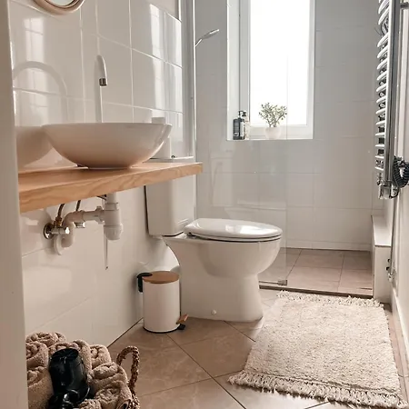Apartment Palova *